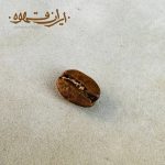 عربیکا نیکاراگوئه S19