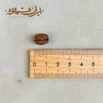 دانه قهوه عربیکا نیکاراگوئه S19
