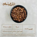 قهوه عربیکا کلمبیا S19