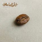 دانه قهوه عربیکا کلمبیا S19