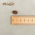 عربیکا کلمبیا S19
