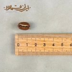هویلا اتیوپی قهوه تخصصی