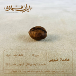 قهوه عربیکا هامبلا اتیوپی - ایران قهوه
