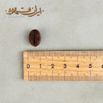 قهوه روبوستا جاوا AP1