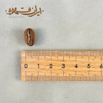 دانه قهوه عربیکا هویلا