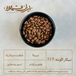 قهوه عربیکا نیکاراگوئه S19 - ایران قهوه