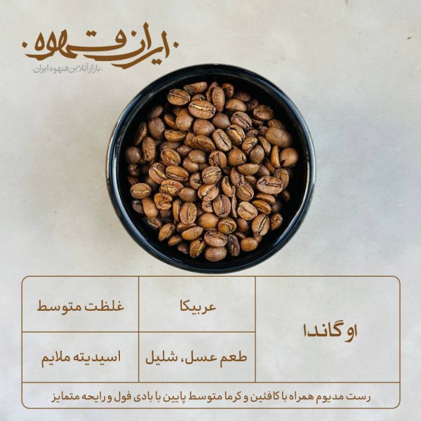 دانه قهوه عربیکا اوگاندا - ایران قهوه