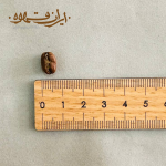 اندازه قهوه سیدامو عربیکا اتیوپی