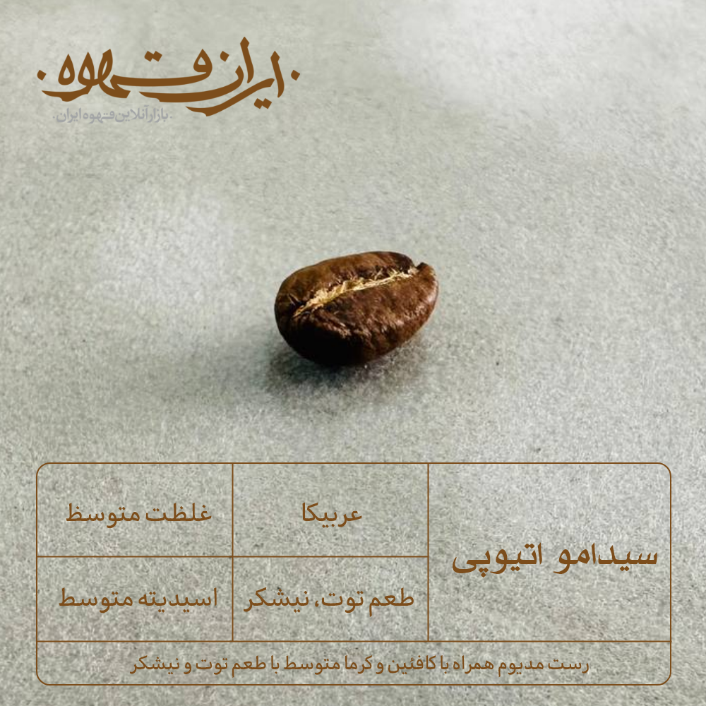 قهوه عربیکا اتیوپی سیدامو با غلظت متوسط