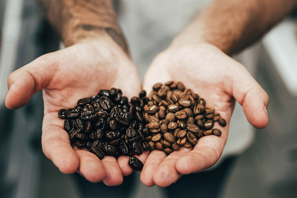 قهوه با رست تیره، نسبت به مدیوم روغنی تر هستند