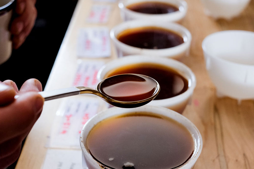 Coffee-cupping-guide-01