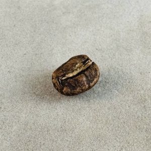 اوگاندا بوگیسو